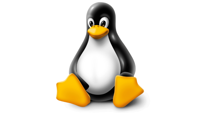 Linux Remote Access and Support over the Internet with TeamViewer